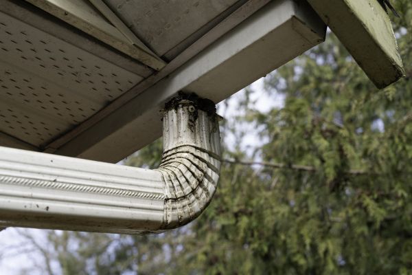 Cost of Roof Drain Replacement in Bentonville